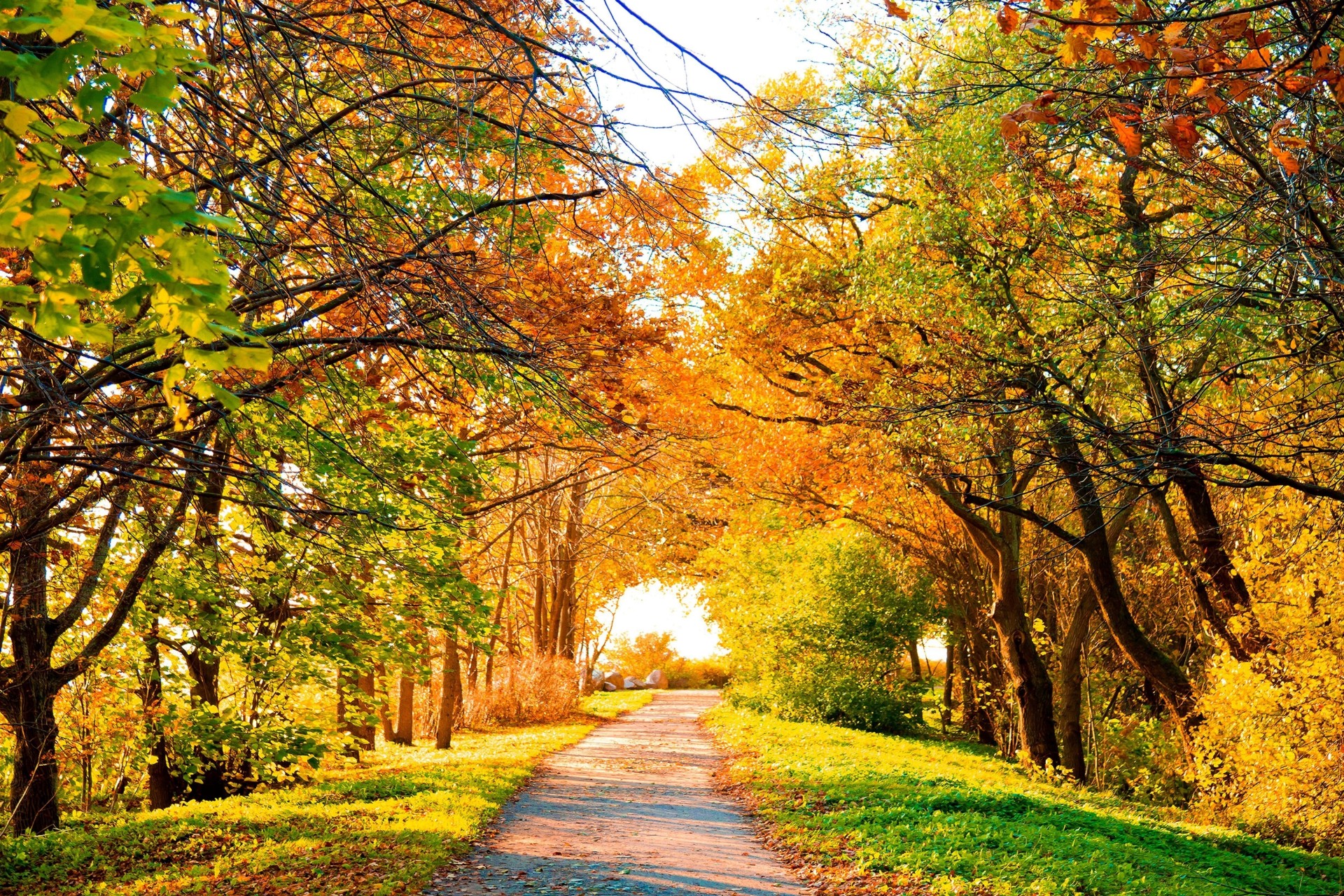 autunno nuvole paesaggio natura