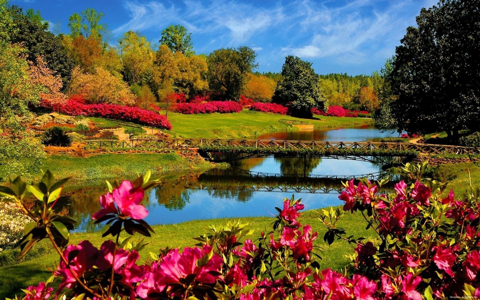 nature pont