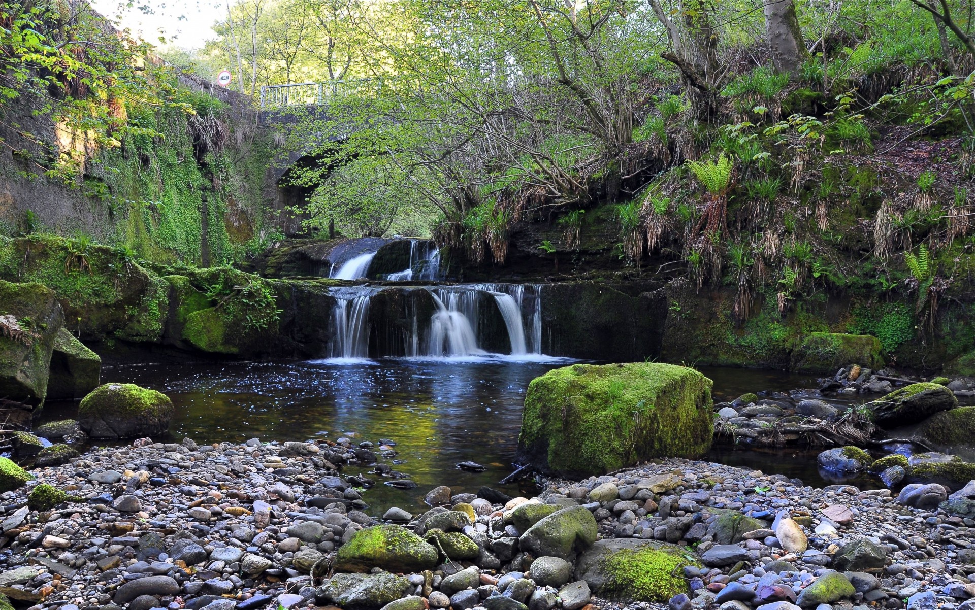 steine brücke natur wasserfall bäume