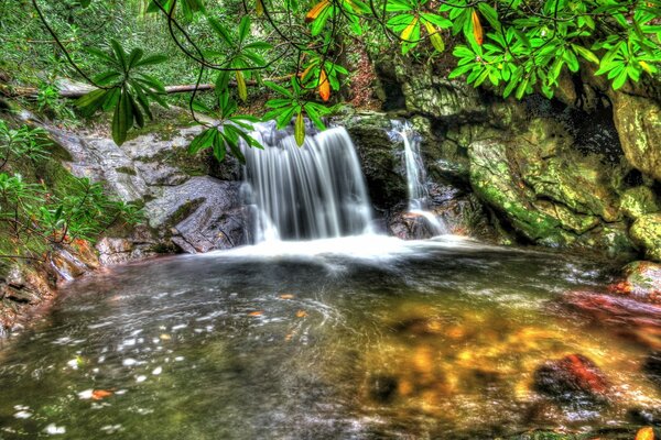 Landschaft mit Wald Wasserfall auf einem Hintergrund von Bäumen