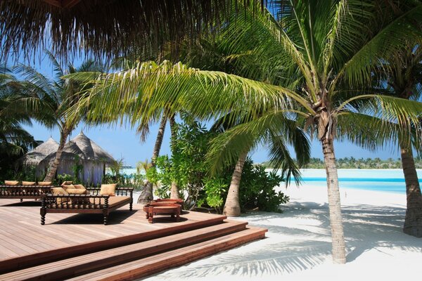 Bella spiaggia tropicale con sabbia bianca e palme