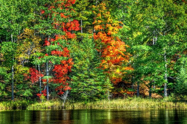 Piękny krajobraz jeziora z kolorowymi drzewami