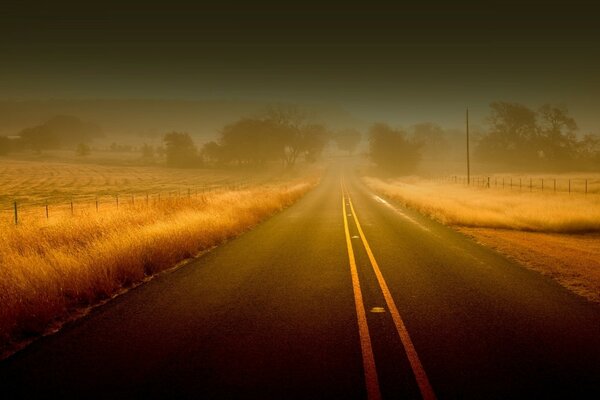Осенняя туманная пустая дорога