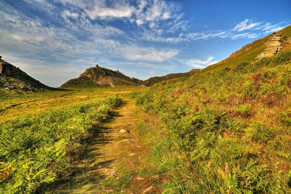 Paisaje Reino Unido Exmoor