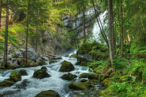 Paysage de cascade sur une rivière de montagne