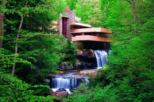 ECO house in the middle of a green forest with a waterfall