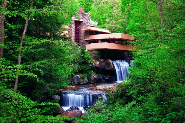 ECO casa en medio de un bosque verde con cascada