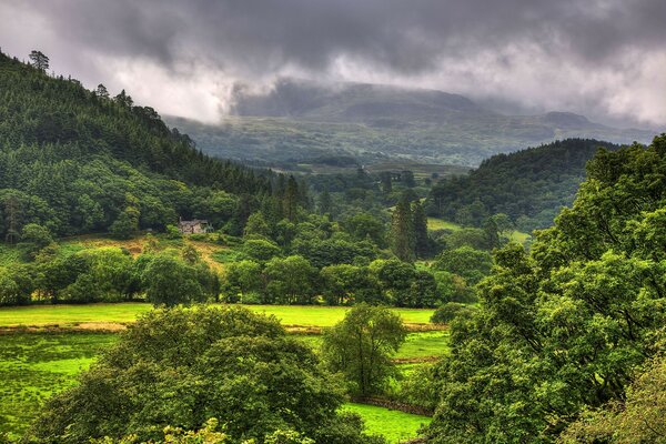 Beautiful view of the bright forest. Green slopes