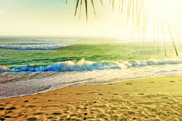 Волны на солнечном, песочном пляже