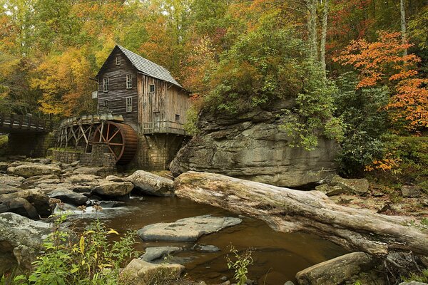 Casa de madera en el bosque de otoño