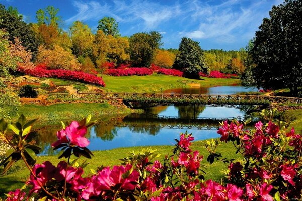 River bridge and a riot of colors