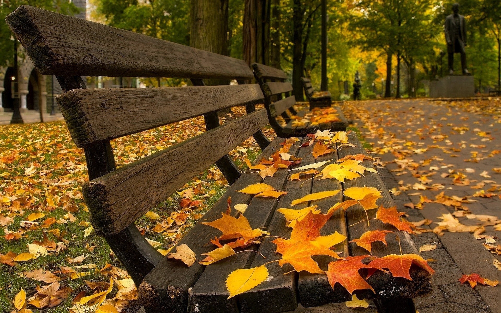 liść liście pomnik sklep drzewa park plac jesień ławki