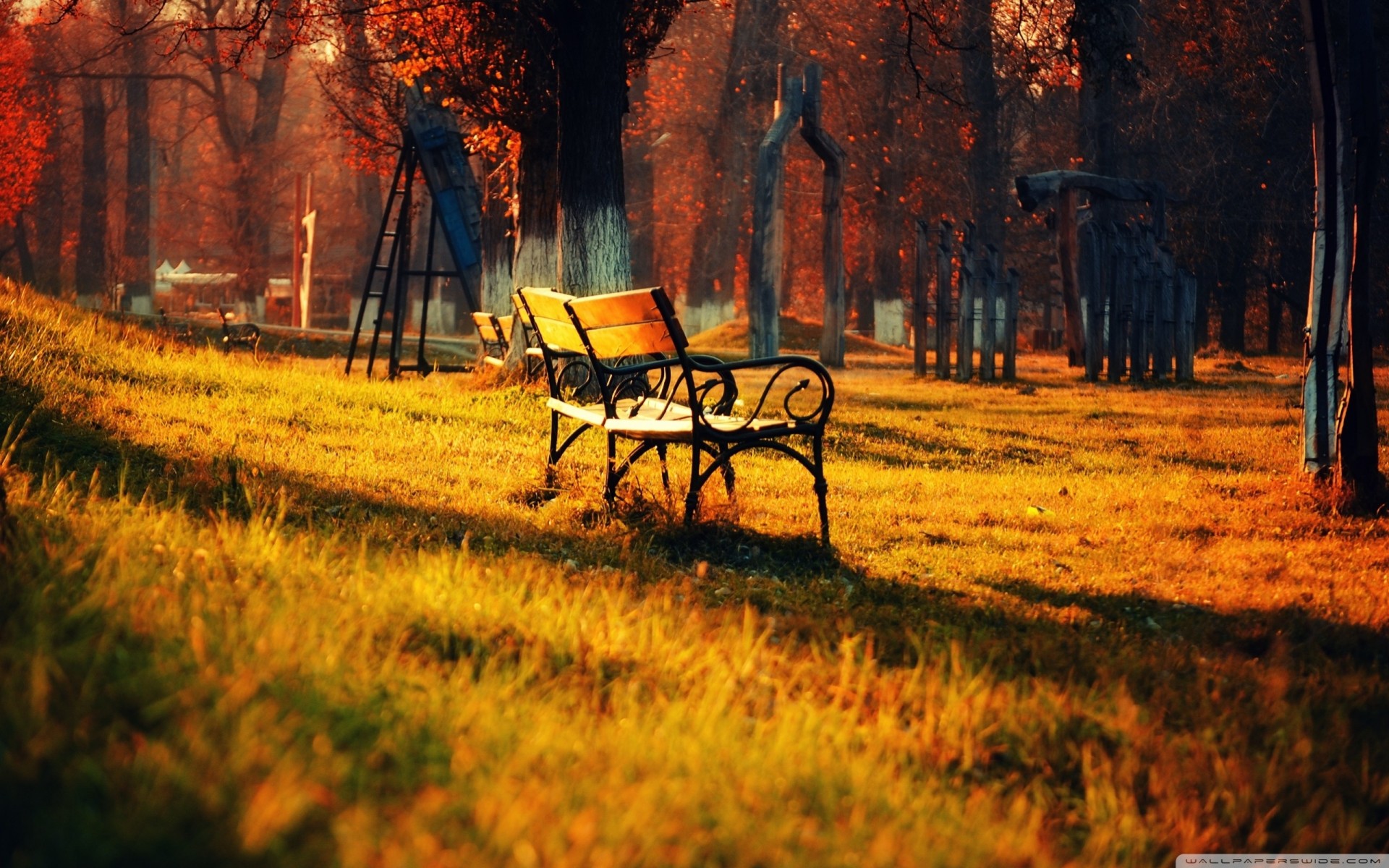 bancs belle parc automne promenade