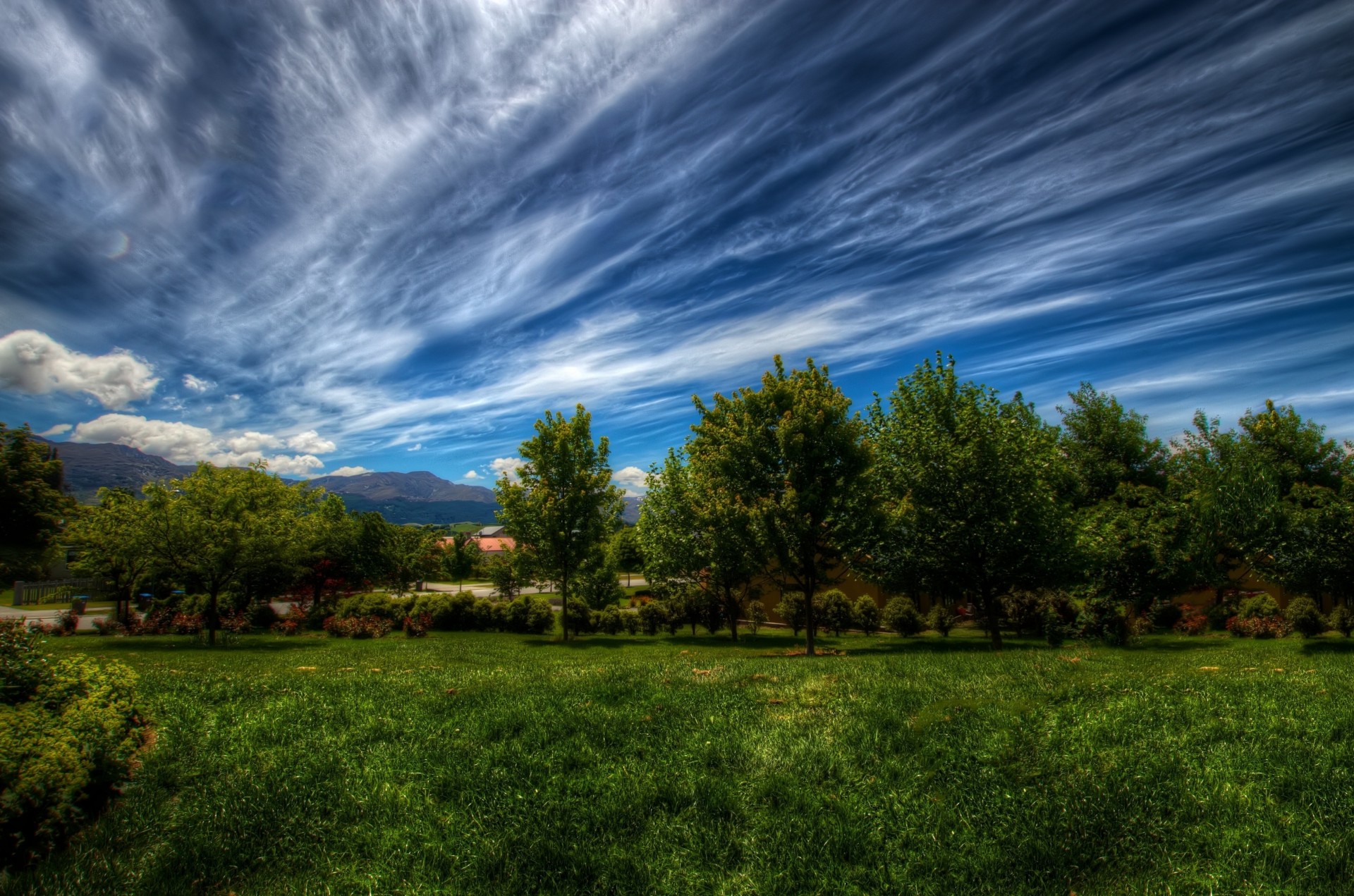 nubes árboles hierba líneas cielo