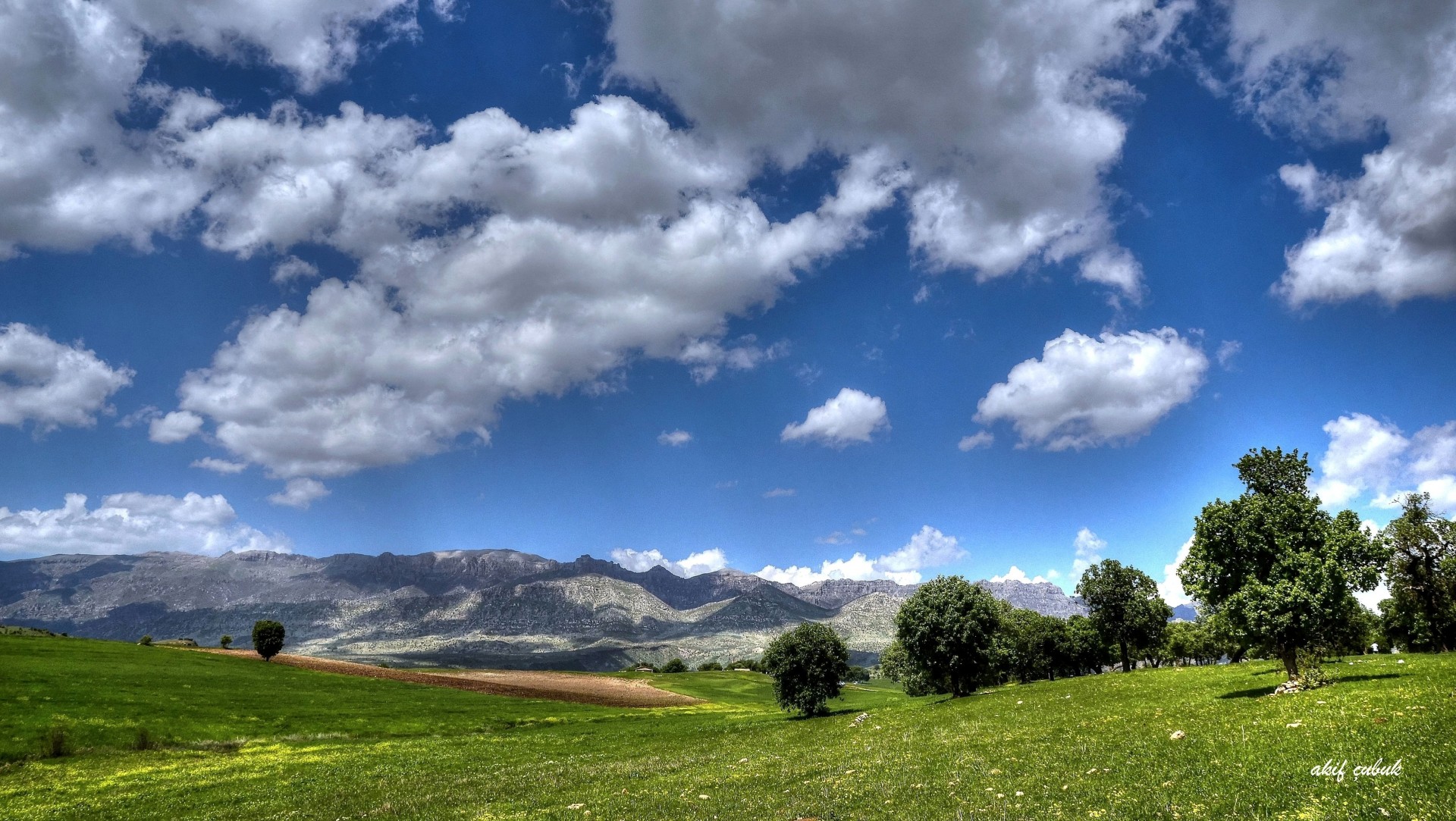 campo montagne paesaggio alberi