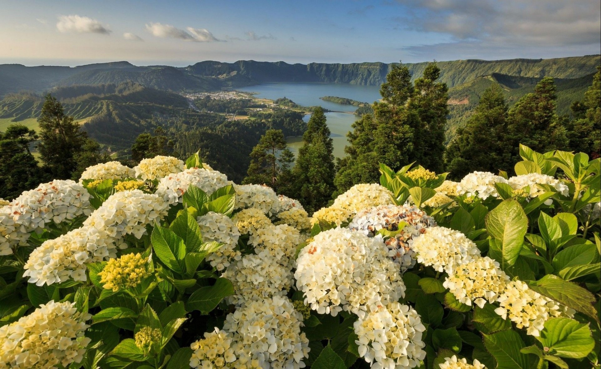 açores nature paysage portugal