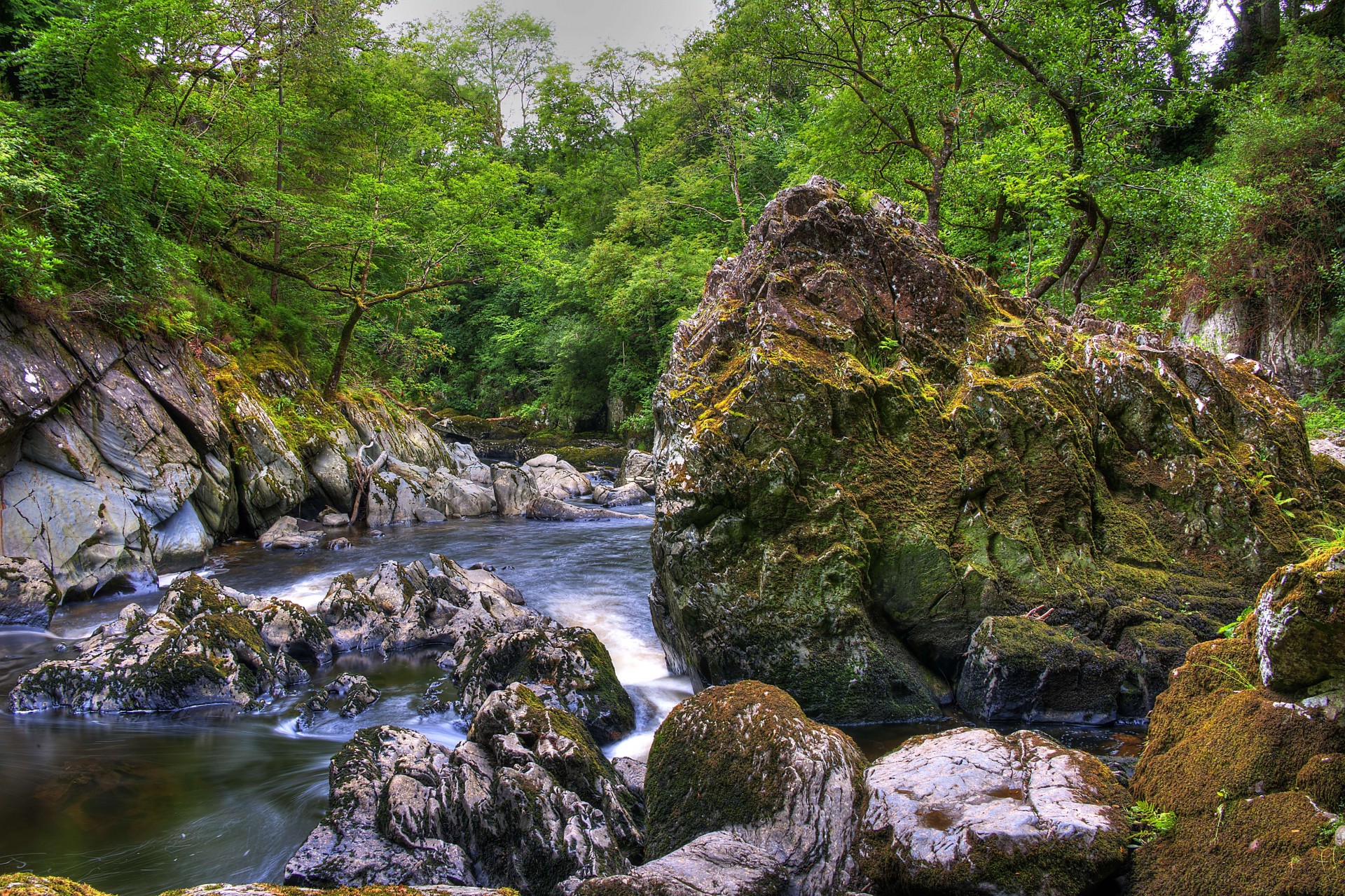 paesaggio fiume alberi regno unito snowdonia rocce