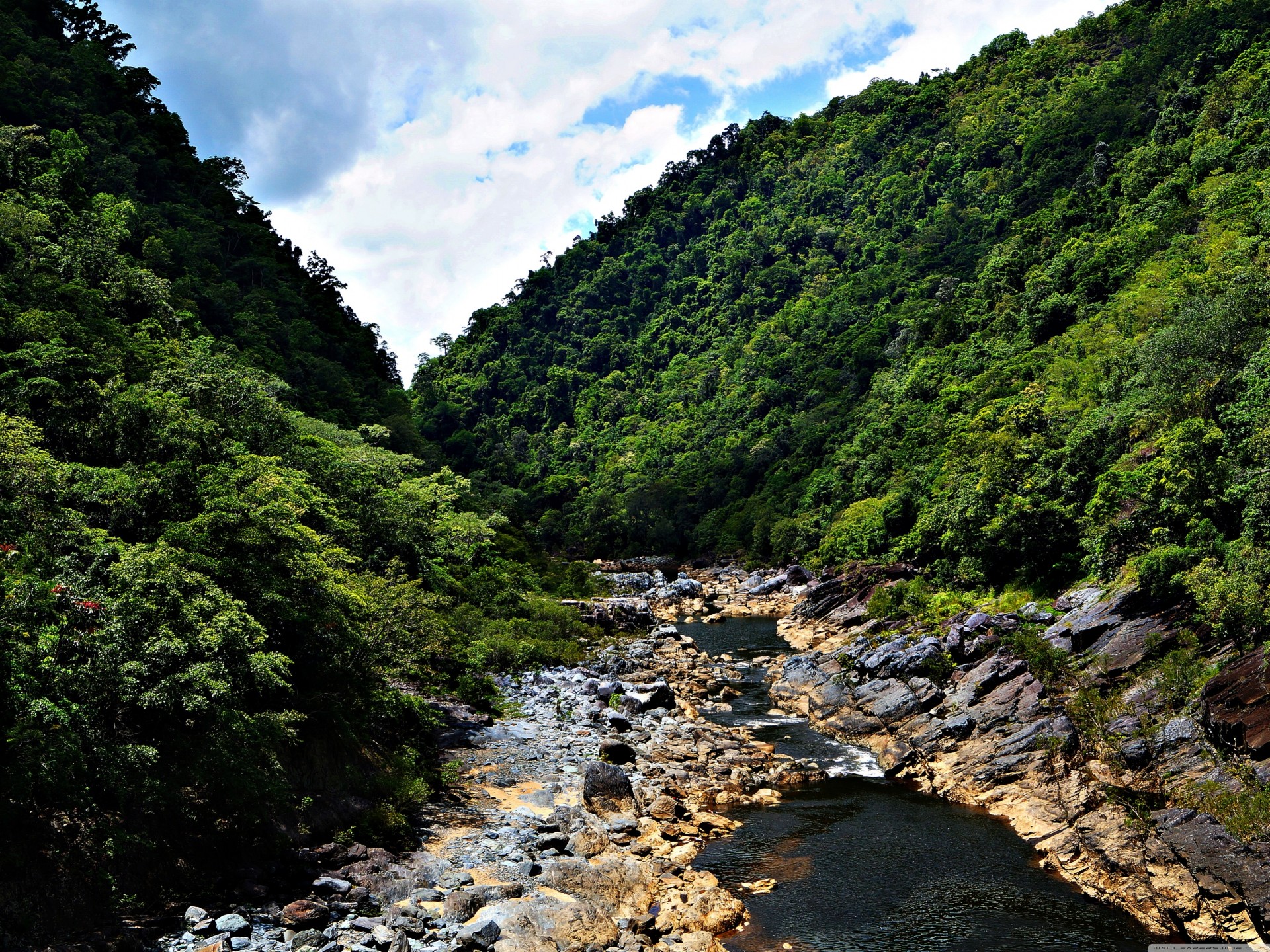 ky mig-15 mountain nature sunny river forest oceania landscape jungle summer