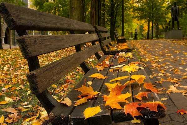 The park bench is covered with autumn leaves