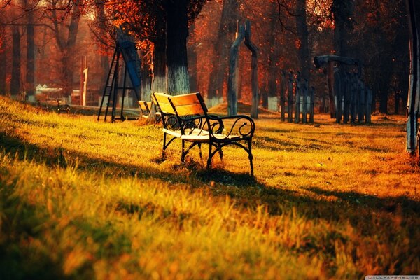 A bench in a beautiful autumn park