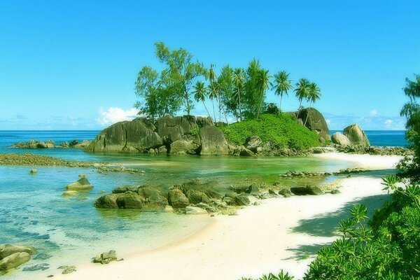 Festin de plage Seychelles