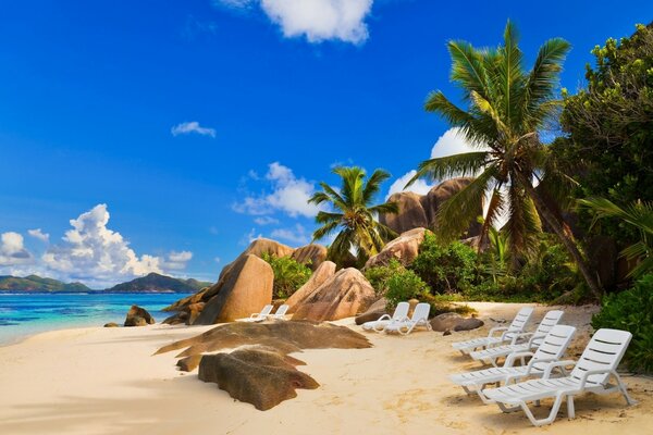 Strand in den Tropen mit Liegestühlen und Palmen