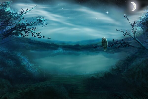 Eine einsame Eule in der Nacht auf dem Hintergrund des Mondes