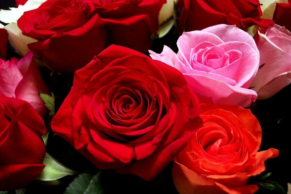 Bouquet of flowers, rosebuds