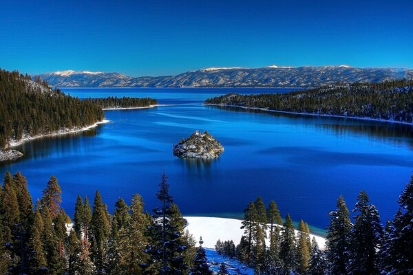 Lago bosque abeto isla de nieve