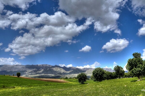 Feld, Berge und Bäume bilden eine schöne Landschaft