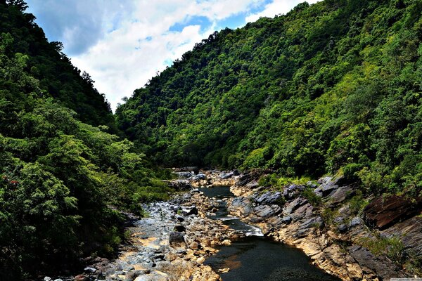 The river flows over rocks in the middle of the forest and mountains