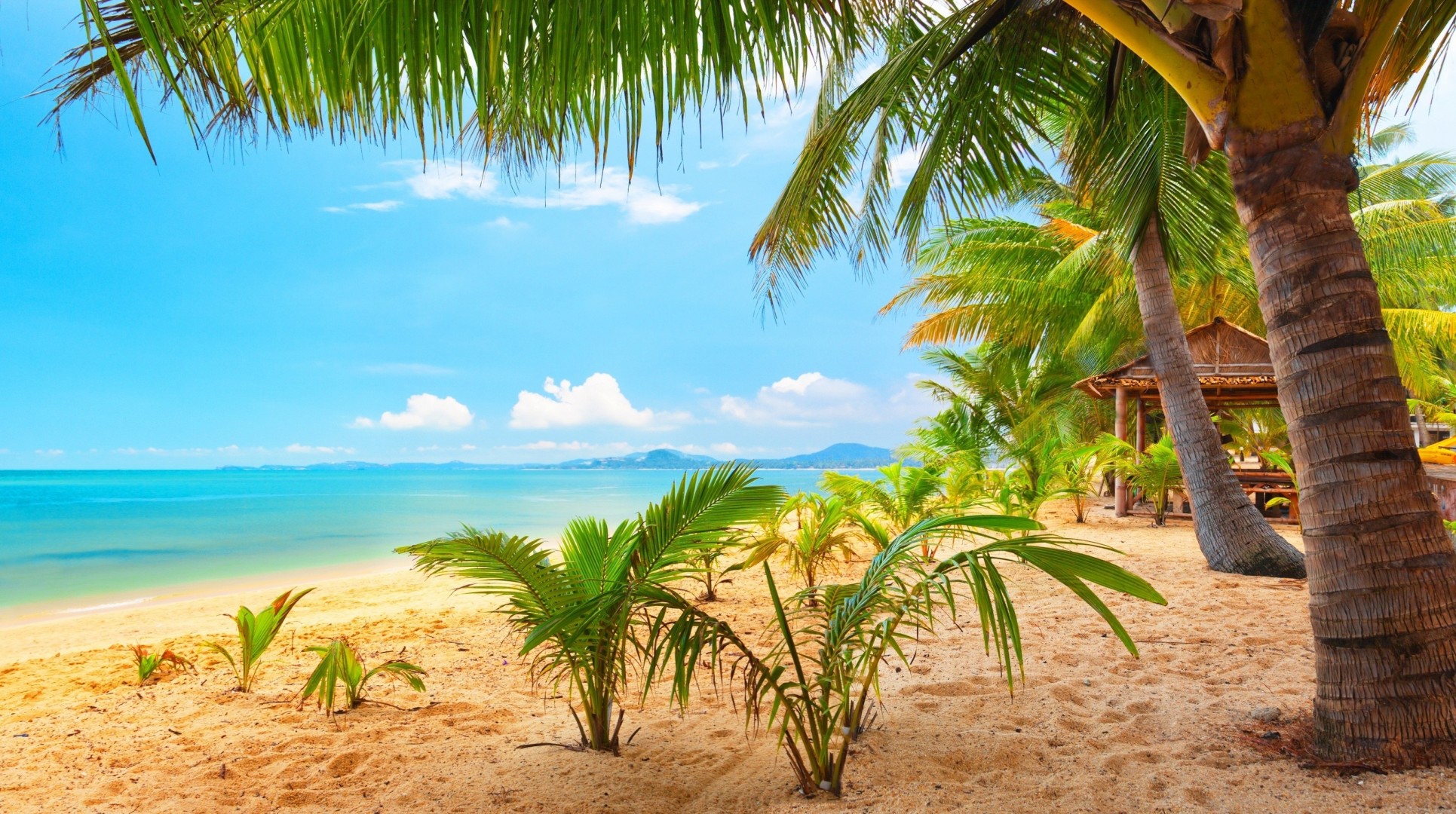 strand palmen wolken tropen ozean natur sommer urlaub himmel berge schön