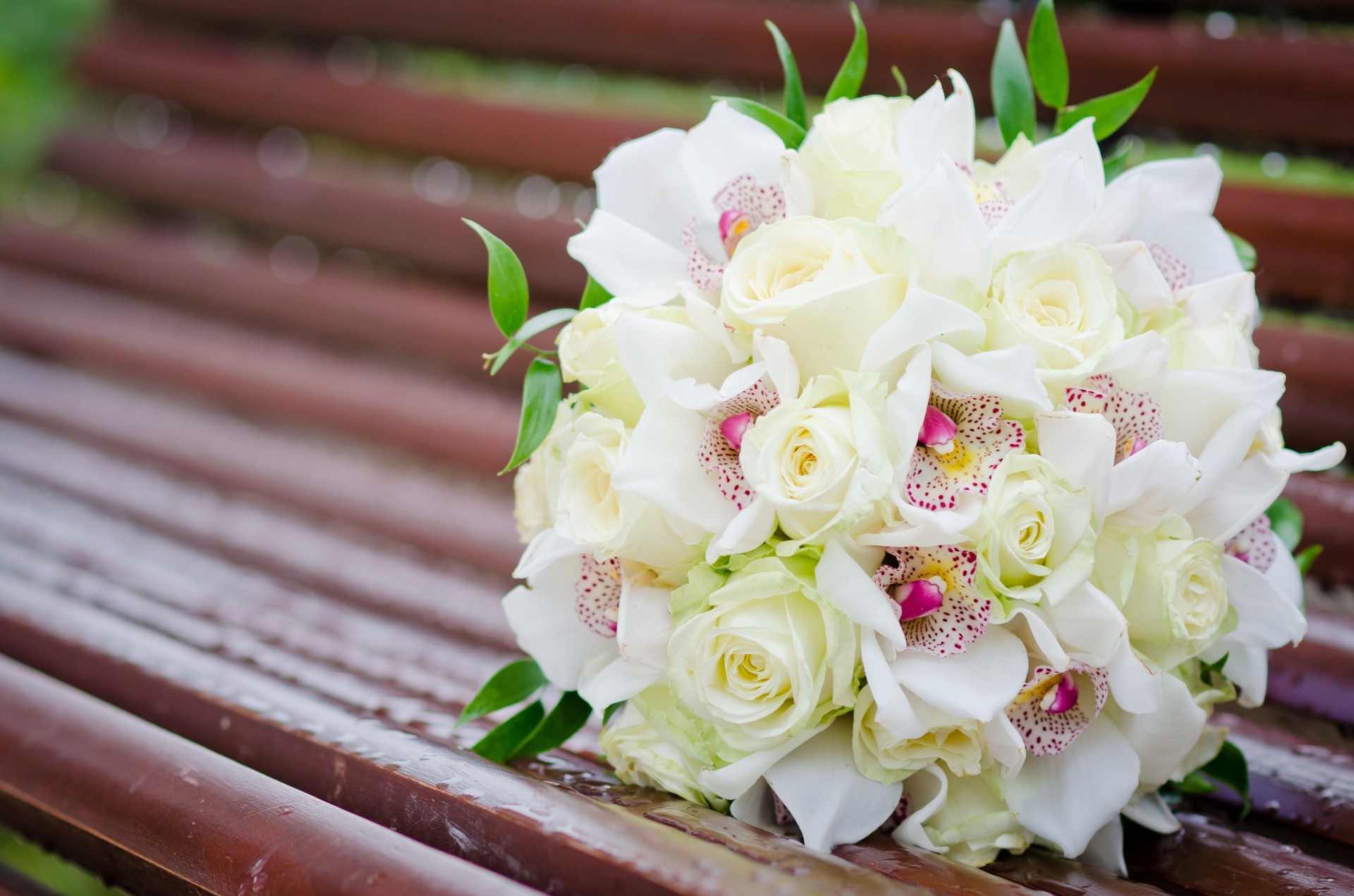 rose bouquet fiori bianco panchine orchidee panchina