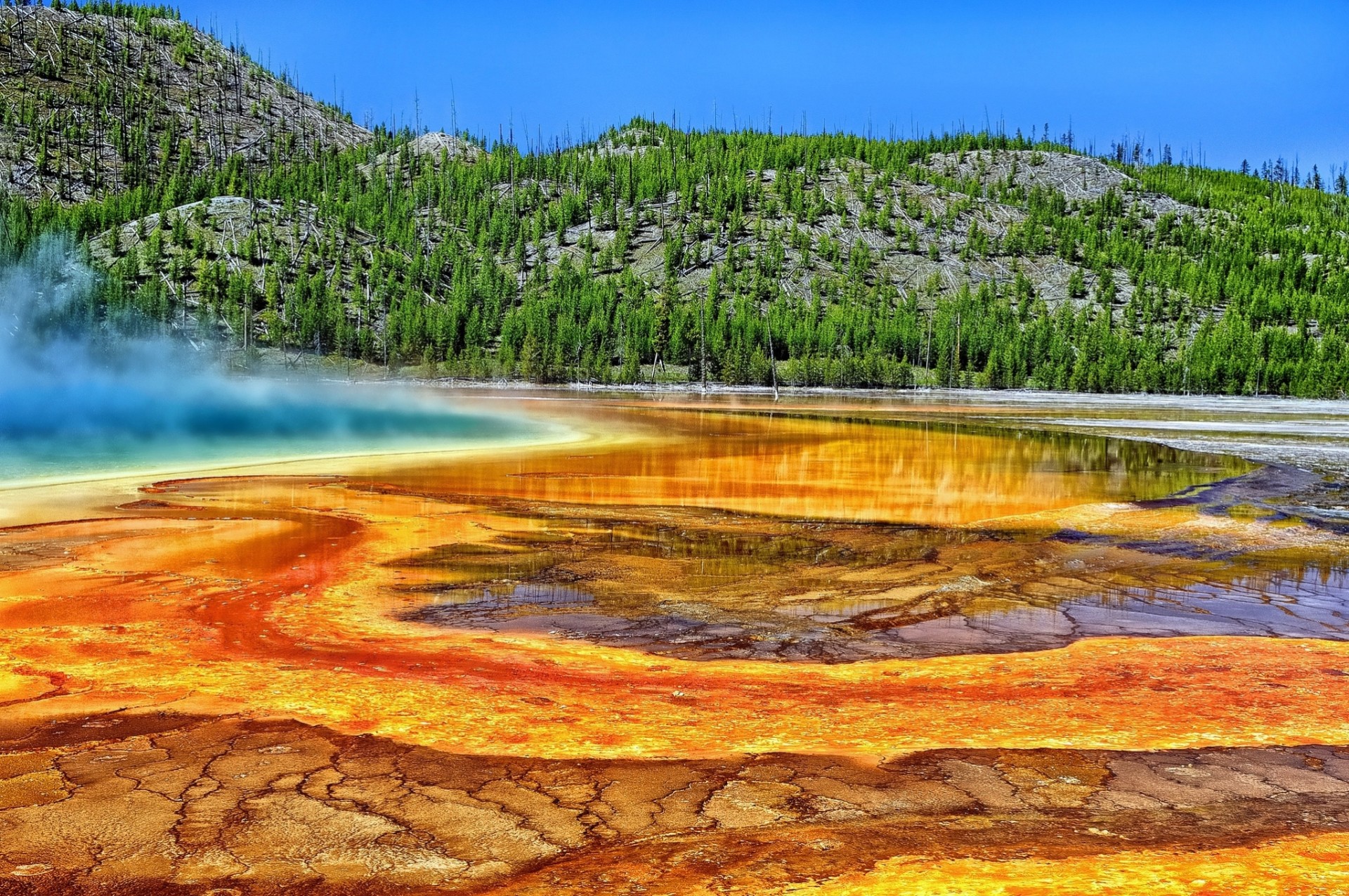 source chaude parc national de yellowstone yellowstone grande source prismatique arbres wyoming