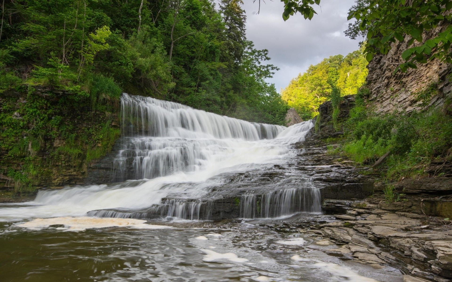 river forest waterfall cascade