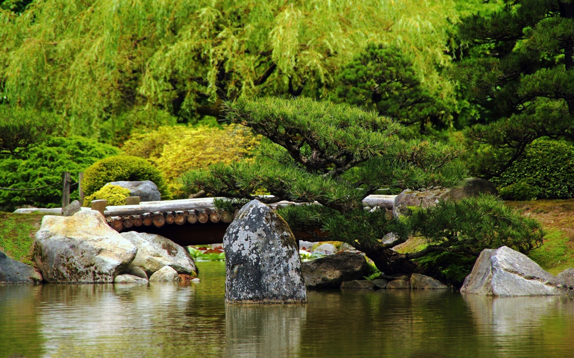 piedras vegetación estanque verano tronco superficie puente árboles