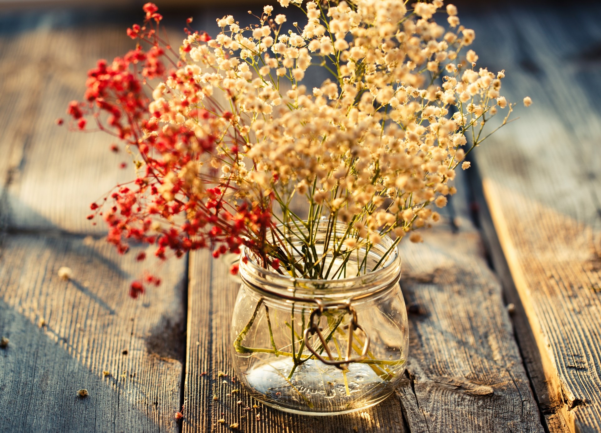 blatt blumen vollbild vase blume widescreen hintergrund tapete glas pflanzen