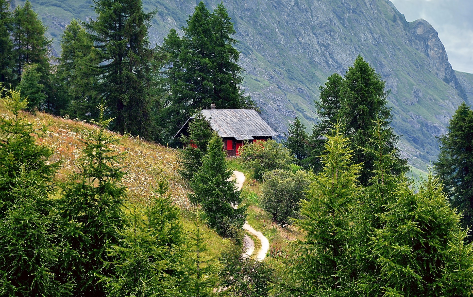 landscape alps road house mountain tree