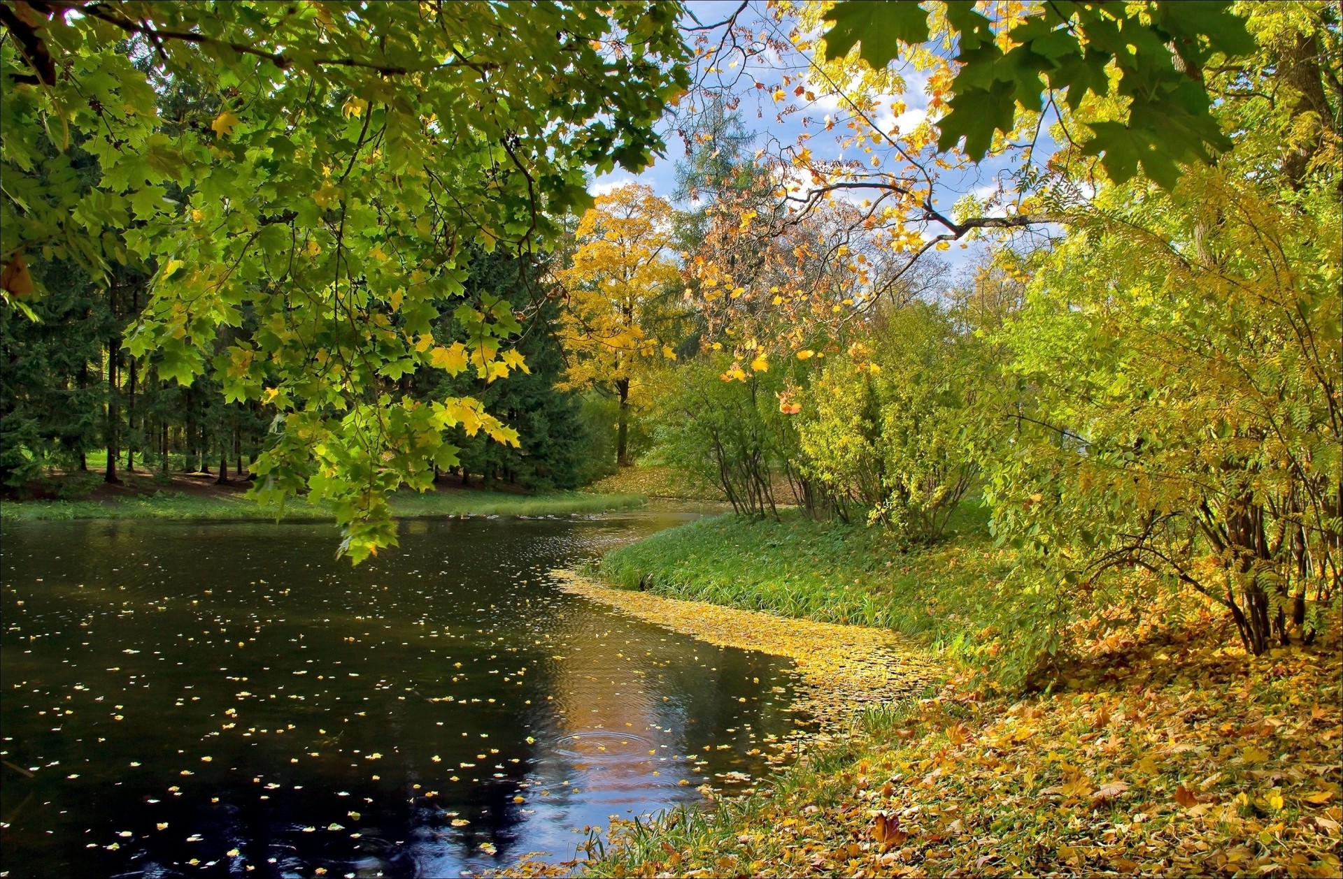 automne lac feuille