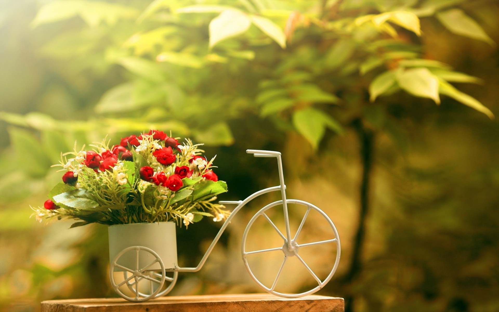 background flower roses bike