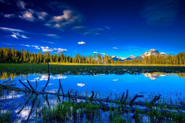 Reflection of the bright blue sky in the lake