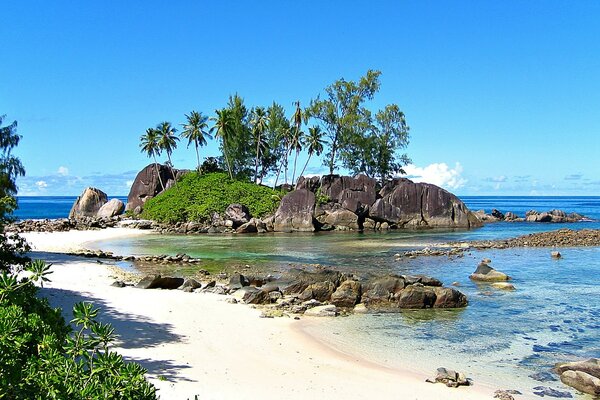 Sonniger Strand auf den Seychellen