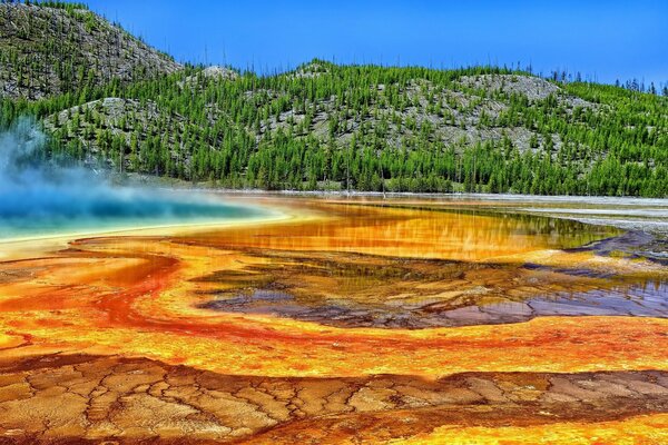 Source chaude dans le parc National de Yellowstone