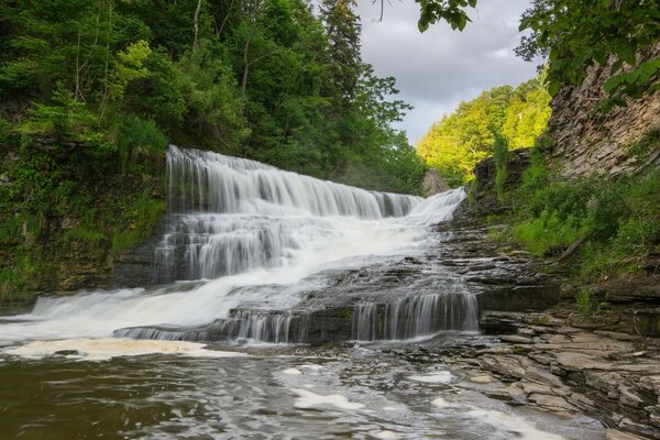 Wald Wasserfall im Morgenwald