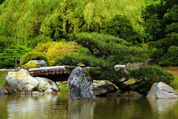 Pond with large rocks and trees