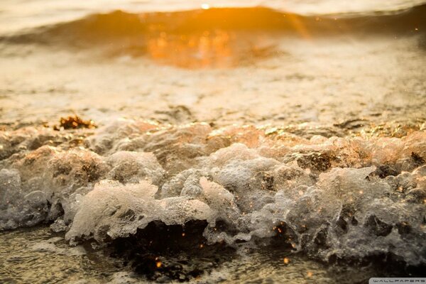 Onde surf in riva al mare