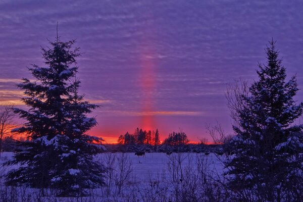 Roter Sonnenuntergang auf einem schneebedeckten Feld