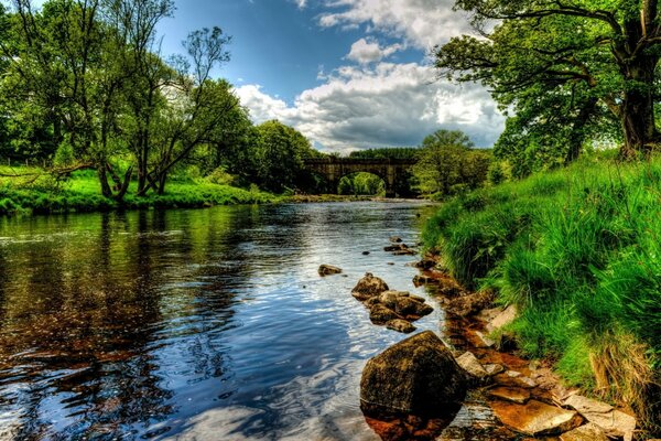 Río enmarcado por jugosas orillas verdes