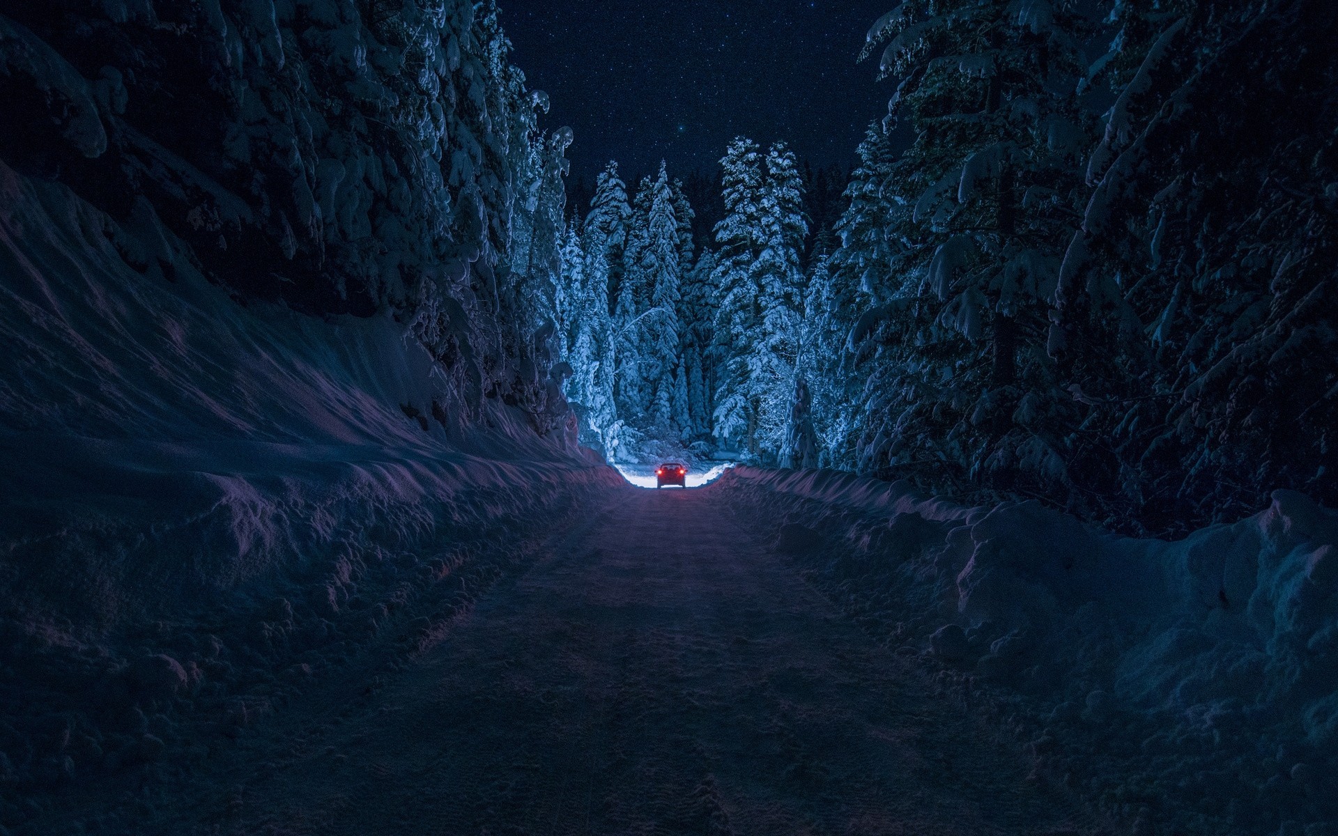 notte foresta strada neve bulgaria kyustendil inverno