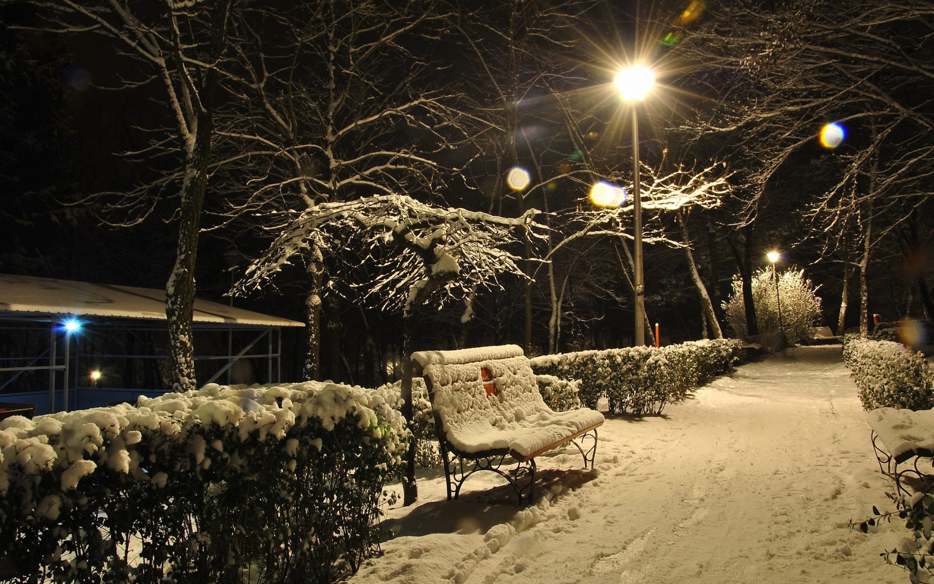 nacht bänke lichter schnee gasse büsche winter